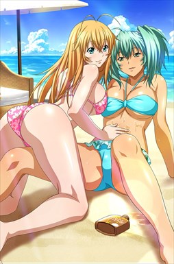 画像ギャラリー No.003のサムネイル画像 / 「ブラウザ一騎当千」，「ギリギリ♥バケーション　水着（前半） 」が登場
