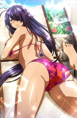画像ギャラリー No.004のサムネイル画像 / 「ブラウザ一騎当千」，「ギリギリ♥バケーション　水着（前半） 」が登場