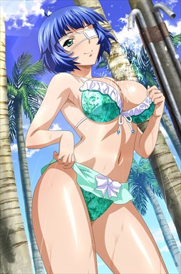 画像ギャラリー No.005のサムネイル画像 / 「ブラウザ一騎当千」，「ギリギリ♥バケーション　水着（前半） 」が登場