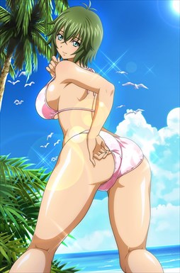 画像ギャラリー No.006のサムネイル画像 / 「ブラウザ一騎当千」，「ギリギリ♥バケーション　水着（前半） 」が登場