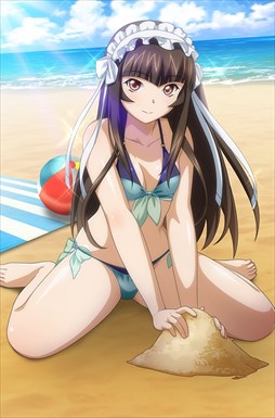画像ギャラリー No.007のサムネイル画像 / 「ブラウザ一騎当千」，「ギリギリ♥バケーション　水着（前半） 」が登場