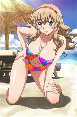 画像ギャラリー No.009のサムネイル画像 / 「ブラウザ一騎当千」，「ギリギリ♥バケーション　水着（前半） 」が登場