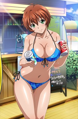 画像ギャラリー No.010のサムネイル画像 / 「ブラウザ一騎当千」，「ギリギリ♥バケーション　水着（前半） 」が登場