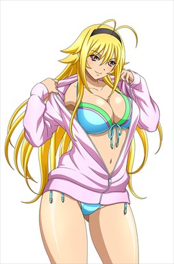 画像ギャラリー No.013のサムネイル画像 / 「ブラウザ一騎当千」，「ギリギリ♥バケーション　水着（前半） 」が登場