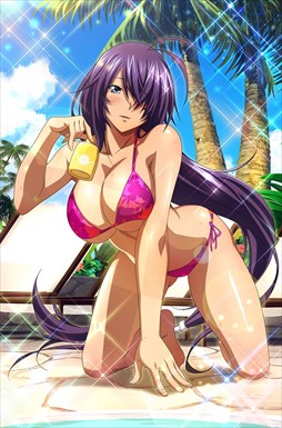 画像ギャラリー No.005のサムネイル画像 / 「ブラウザ一騎当千」，「ギリギリ♥バケーション　水着（後半）」が登場
