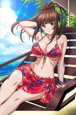 画像ギャラリー No.007のサムネイル画像 / 「ブラウザ一騎当千」，「ギリギリ♥バケーション　水着（後半）」が登場