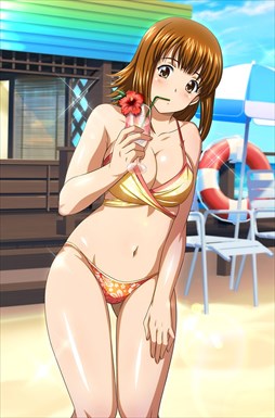 画像ギャラリー No.008のサムネイル画像 / 「ブラウザ一騎当千」，「ギリギリ♥バケーション　水着（後半）」が登場