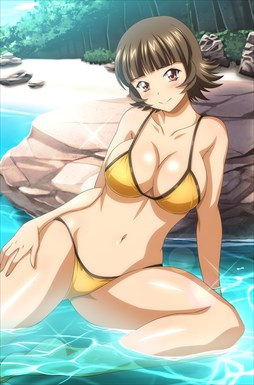 画像ギャラリー No.009のサムネイル画像 / 「ブラウザ一騎当千」，「ギリギリ♥バケーション　水着（後半）」が登場