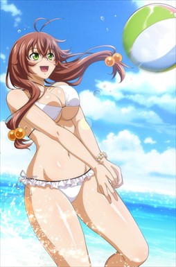 画像ギャラリー No.011のサムネイル画像 / 「ブラウザ一騎当千」，「ギリギリ♥バケーション　水着（後半）」が登場