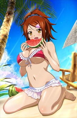 画像ギャラリー No.013のサムネイル画像 / 「ブラウザ一騎当千」，「ギリギリ♥バケーション　水着（後半）」が登場