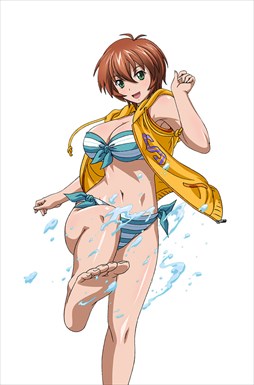 画像ギャラリー No.014のサムネイル画像 / 「ブラウザ一騎当千」，「ギリギリ♥バケーション　水着（後半）」が登場