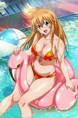 画像ギャラリー No.005のサムネイル画像 / 「ブラウザ一騎当千 爆乳争覇伝」に水着姿の闘士たちが期間限定で登場