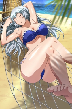画像ギャラリー No.006のサムネイル画像 / 「ブラウザ一騎当千 爆乳争覇伝」に水着姿の闘士たちが期間限定で登場