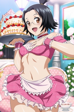 画像ギャラリー No.009のサムネイル画像 / 「ブラウザ一騎当千 爆乳争覇伝」に水着姿の闘士たちが期間限定で登場