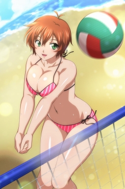 画像ギャラリー No.010のサムネイル画像 / 「ブラウザ一騎当千 爆乳争覇伝」に水着姿の闘士たちが期間限定で登場