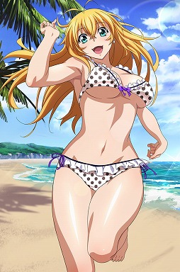 画像ギャラリー No.006のサムネイル画像 / 「ブラウザ一騎当千」，イベント“水着レジャー”の後半が開催