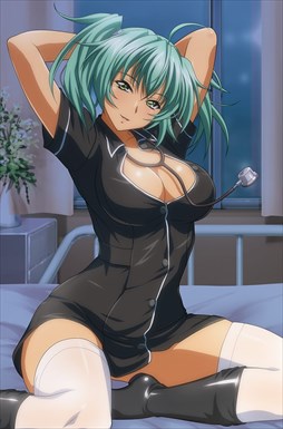 画像ギャラリー No.004のサムネイル画像 / 「ブラウザ一騎当千」,トーシダスに「微熱テンプテーション ナース(前半)」が登場