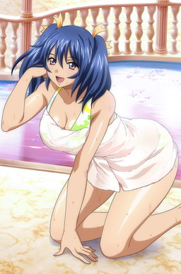 画像ギャラリー No.009のサムネイル画像 / 「ブラウザ一騎当千 爆乳争覇伝」に“肌色セラピー♥ スパ”の闘士カードが登場