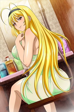画像ギャラリー No.008のサムネイル画像 / 「ブラウザ一騎当千」,トーシダスに「二人でお泊り♪ 温泉(前半)」登場