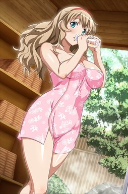 画像ギャラリー No.003のサムネイル画像 / 「ブラウザ一騎当千」，トーシダスに「二人でお泊り♪　温泉（後半） 」登場