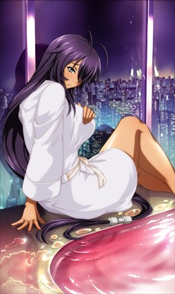 画像ギャラリー No.011のサムネイル画像 / 「ブラウザ一騎当千」，トーシダスに「二人でお泊り♪　温泉（後半） 」登場