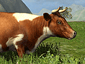 やはり第一次産業はいい，と思えてならない「Farming Simulator 2011」を紹介する，今週の「海外ゲーム四天王」