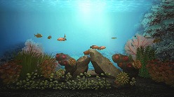 画像ギャラリー No.004のサムネイル画像 / 「ブルーオアシス」自慢の水槽を録画してアップロードしよう