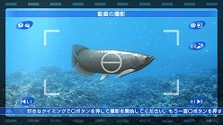 画像ギャラリー No.005のサムネイル画像 / 「ブルーオアシス」自慢の水槽を録画してアップロードしよう
