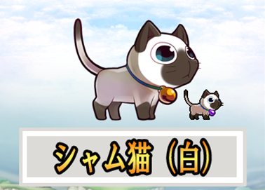 画像ギャラリー No.003のサムネイル画像 / 「ウィローズ」ペットがもらえる出席イベント＆経験値アップイベント同時開催