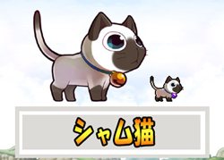 画像ギャラリー No.006のサムネイル画像 / 「ウィローズ」出席スタンプを7個集めて「ペット復活護符」を手に入れよう