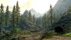 画像ギャラリー No.012のサムネイル画像 / ［Gamescom］「The Elder Scrolls V: Skyrim」のプレスカンファレンスが開催。自由度の高いキャラクターメイキングと，新たな冒険の舞台が登場