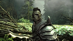 画像ギャラリー No.013のサムネイル画像 / ［Gamescom］「The Elder Scrolls V: Skyrim」のプレスカンファレンスが開催。自由度の高いキャラクターメイキングと，新たな冒険の舞台が登場