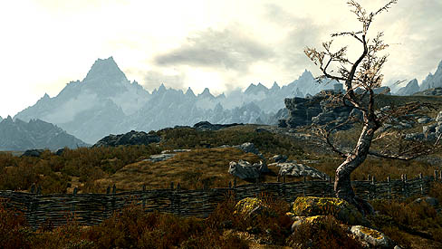 画像ギャラリー No.004のサムネイル画像 / 「The Elder Scrolls V: Skyrim」のゲーム世界が堪能できる最新ムービー公開。膨大な手作業で作られたSkyrimの世界とは