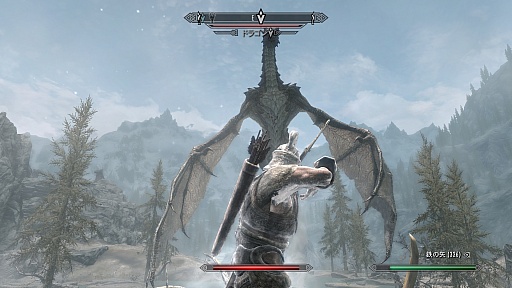 画像ギャラリー No.045のサムネイル画像 / 「The Elder Scrolls V: Skyrim」のレビューを掲載。やりこみ要素満載のハイファンタジーながら,初心者への優しさも忘れない,死角なしの大本命RPG