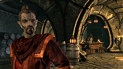画像ギャラリー No.013のサムネイル画像 / 「The Elder Scrolls V: Skyrim」のDLC「Dragonborn」,12枚の最新スクリーンショットとゲームの詳細を公開