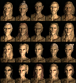 画像ギャラリー No.008のサムネイル画像 / 「The Elder Scrolls V: Skyrim」メディア向け体験会で実際に2時間30分ほど触ってきたので，さっそくプレイレポートをお届け