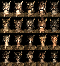 画像ギャラリー No.010のサムネイル画像 / 「The Elder Scrolls V: Skyrim」メディア向け体験会で実際に2時間30分ほど触ってきたので，さっそくプレイレポートをお届け
