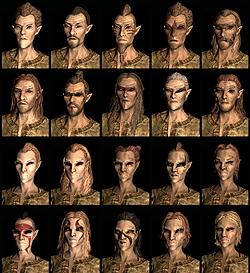 画像ギャラリー No.013のサムネイル画像 / 「The Elder Scrolls V: Skyrim」メディア向け体験会で実際に2時間30分ほど触ってきたので，さっそくプレイレポートをお届け
