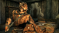 画像ギャラリー No.016のサムネイル画像 / 「The Elder Scrolls V: Skyrim」メディア向け体験会で実際に2時間30分ほど触ってきたので，さっそくプレイレポートをお届け