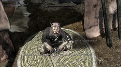 画像ギャラリー No.010のサムネイル画像 / もはや死角なし。圧倒的な完成度を誇るRPG「The Elder Scrolls V: Skyrim」を紹介するプレイムービーを掲載