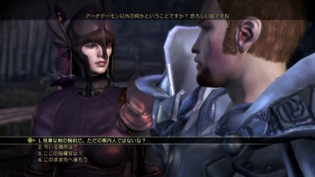 画像ギャラリー No.004のサムネイル画像 / 「Dragon Age: Origins - Awakening」では,アマランシン地域が新たな冒険の舞台に。ダークスポーンの秘密を暴き,グレイ・ウォーデンを再興せよ