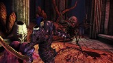 画像ギャラリー No.008のサムネイル画像 / 「Dragon Age: Origins - Awakening」,新たな冒険の舞台で待つのはやっぱり新顔のクリーチャー。独自の意志を持ったダークスポーンも登場