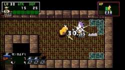 画像ギャラリー No.010のサムネイル画像 / 日本一ソフトウェアのアクションRPG「クラシックダンジョンX2」が2011年3月24日に発売。新機能が搭載され，やりこみ要素も“2倍”になって，前作より安いだと