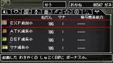 画像ギャラリー No.020のサムネイル画像 / 「クラシックダンジョンX2」，新職業「魔法剣士」「呪術師」が判明。今作の“エディット機能”でココまで作れちゃうことも明らかに