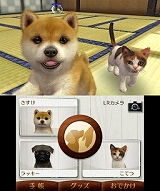 nintendogs + cats 柴 & Newフレンズ