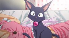 画像ギャラリー No.002のサムネイル画像 / 「くろネコONLINE」の先行体験参加者募集が2月2日16：00にスタート＆登場キャラクターやGONZOが手がけるアニメーションPV情報も公開