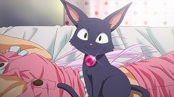 画像ギャラリー No.011のサムネイル画像 / オンラインRPG初心者の心を掴むべく，日本独自の世界観を構築。「くろネコONLINE」プロデューサー遠藤氏に今後の展開と意気込みを聞いた。