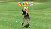 画像ギャラリー No.008のサムネイル画像 / PS Vita「みんなのGOLF 6」に「GRAVITY DAZE」のキトゥンが参戦。キトゥンおよび「ノーザンフォックスC.C.」のDLC配信が本日スタート