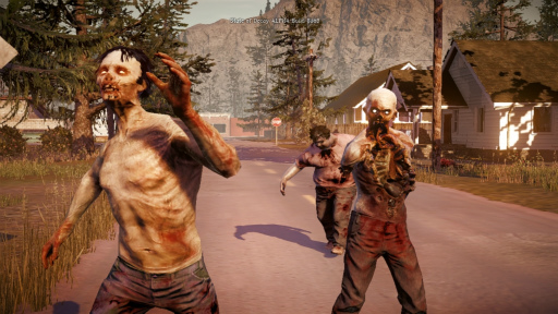 画像ギャラリー No.003のサムネイル画像 / 「State of Decay」のPC版は2013年内にリリースされることが，Undead Labsのライブストリームセッションで明らかに
