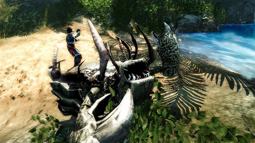 画像ギャラリー No.003のサムネイル画像 / ［E3 2011］美しく個性的な中世ファンタジー＋海賊RPG。Piranha Bytesの最新作「Risen 2：Dark Waters」の最新情報がE3で判明